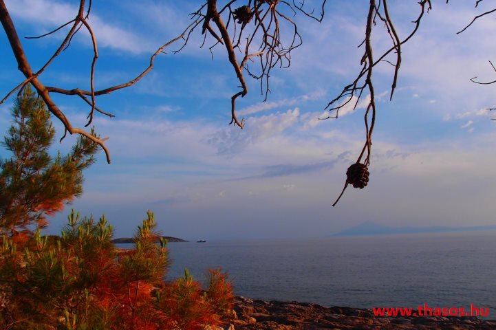 309939_378341322286867_1980384513_n