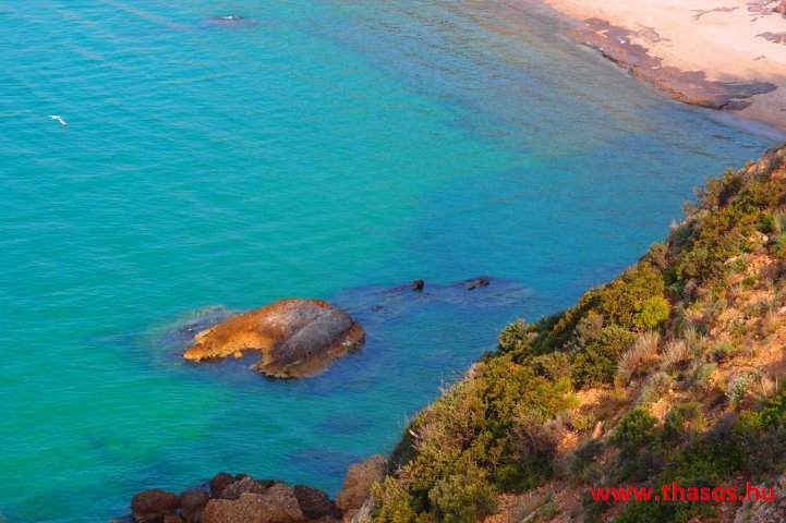 524663_377842145670118_1127939643_n