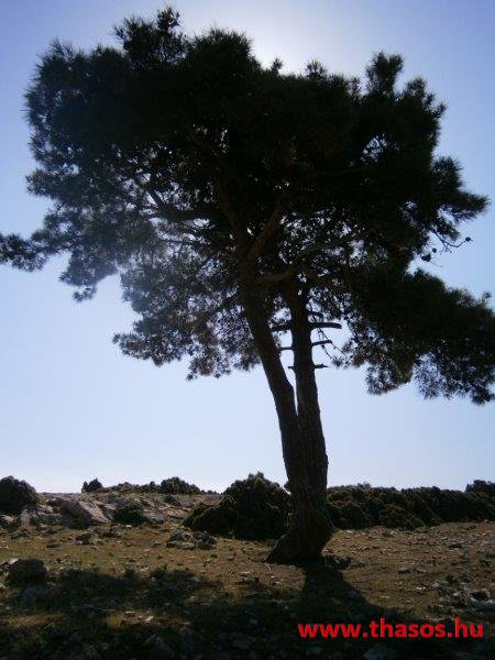 2013_05_06_kastri_01