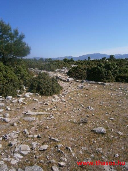 2013_05_06_kastri_03