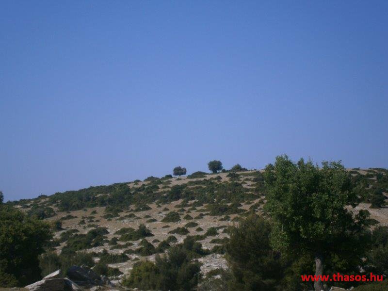 2013_05_06_kastri_05