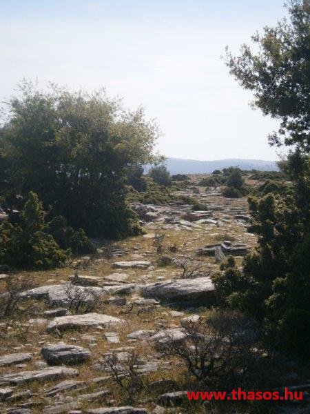 2013_05_06_kastri_09