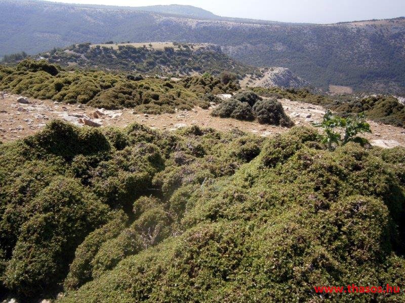 2013_05_06_kastri_12