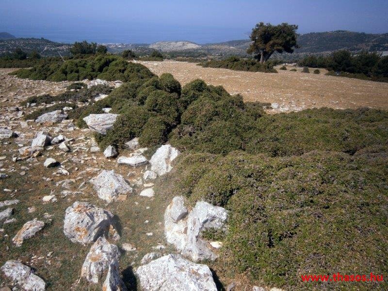 2013_05_06_kastri_14