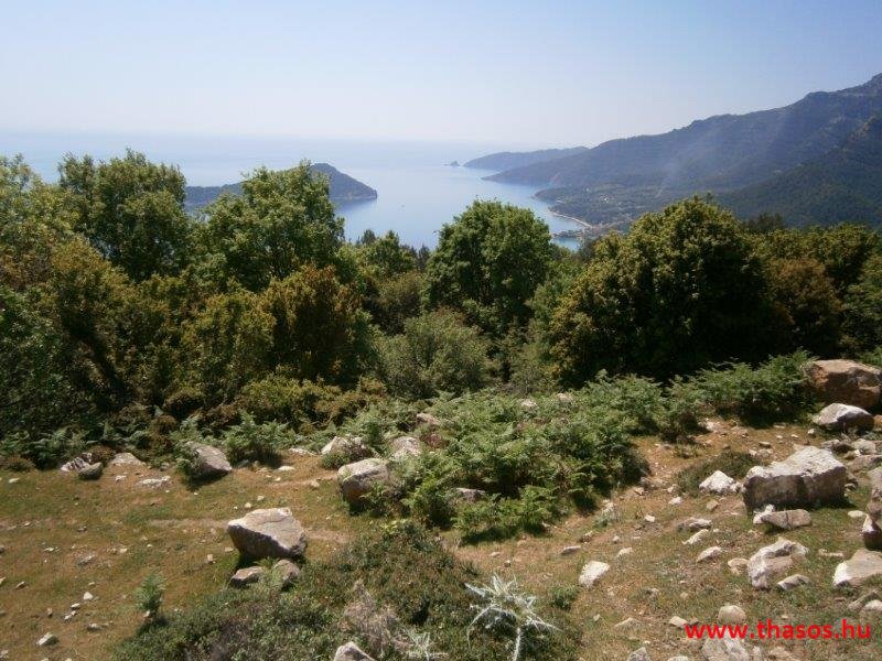 paleohori_osi_falu_01