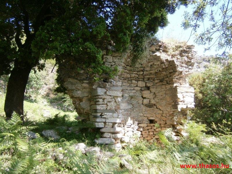 paleohori_osi_falu_06