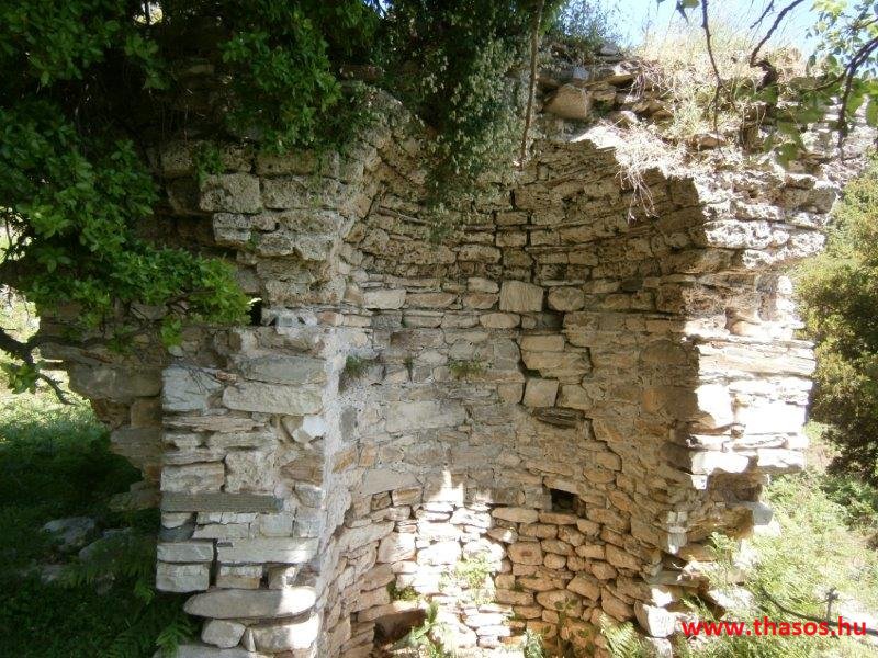 paleohori_osi_falu_09