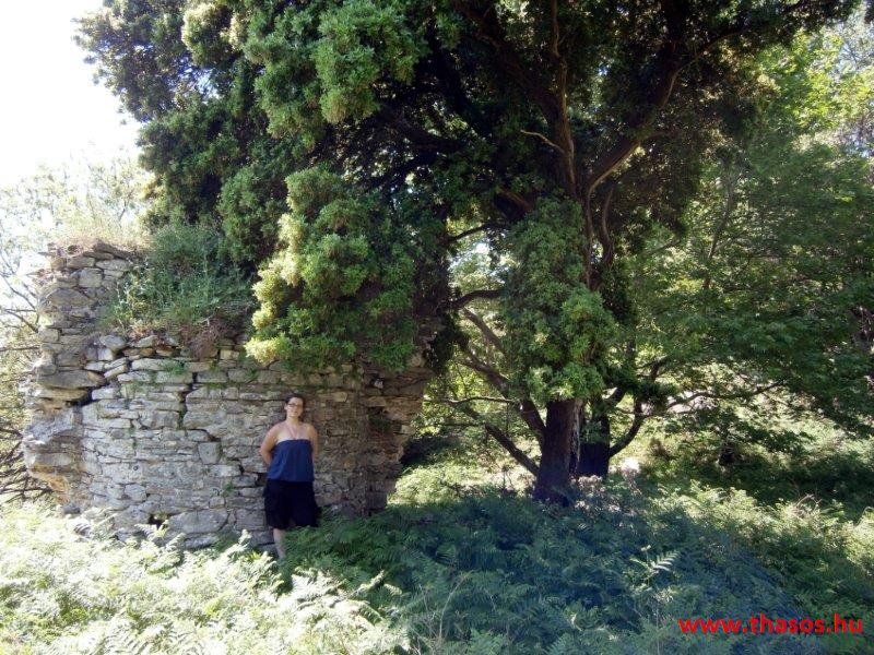 paleohori_osi_falu_11