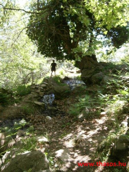 paleohori_osi_falu_14