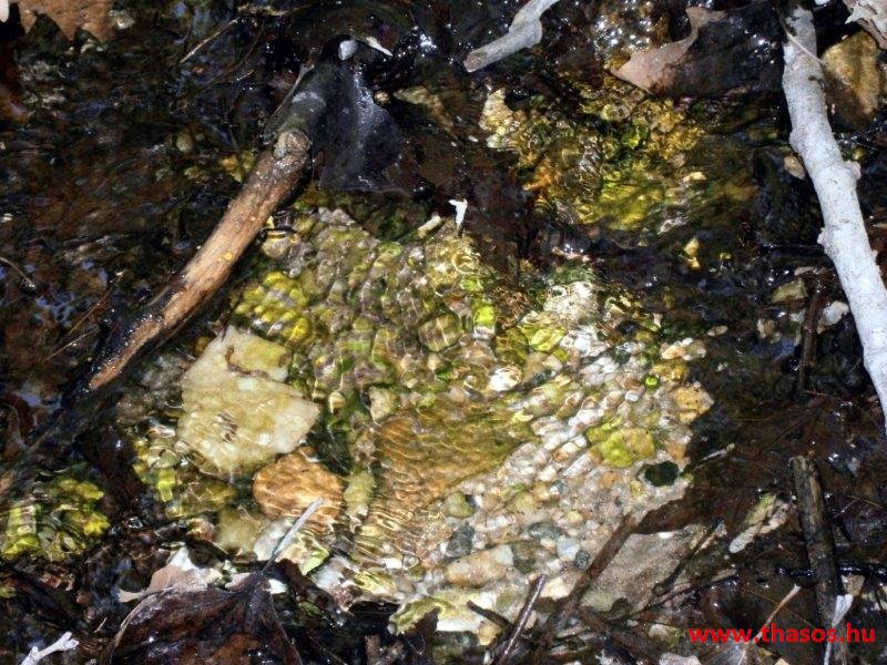 paleohori_osi_falu_16