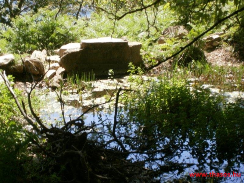 paleohori_osi_falu_17