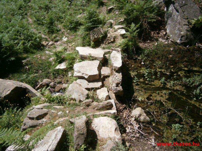 paleohori_osi_falu_18