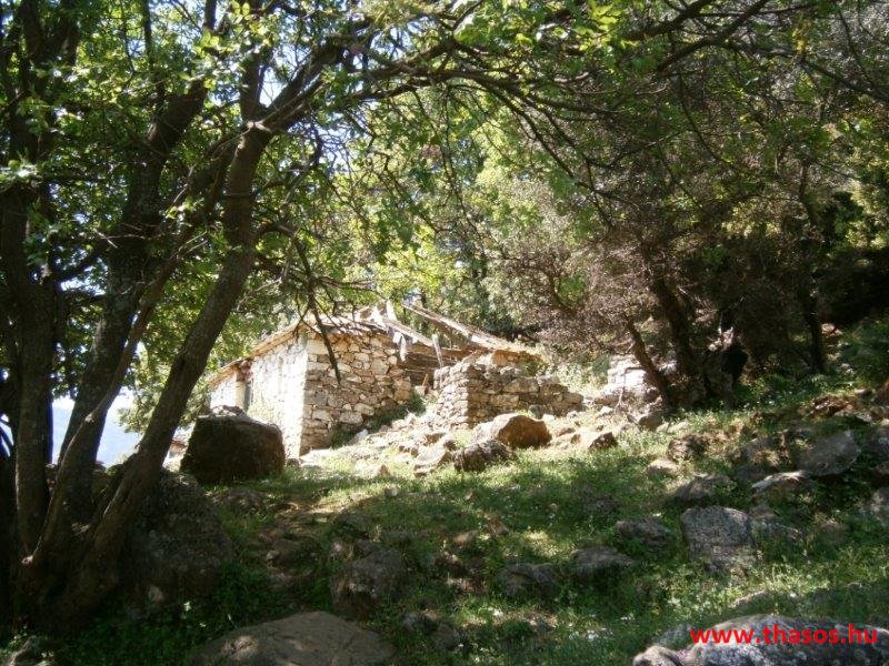 paleohori_osi_falu_20