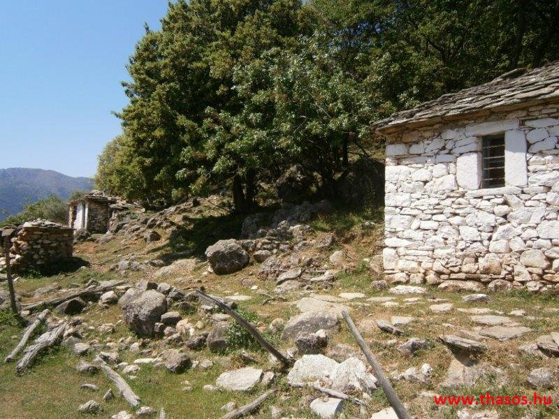 paleohori_osi_falu_24