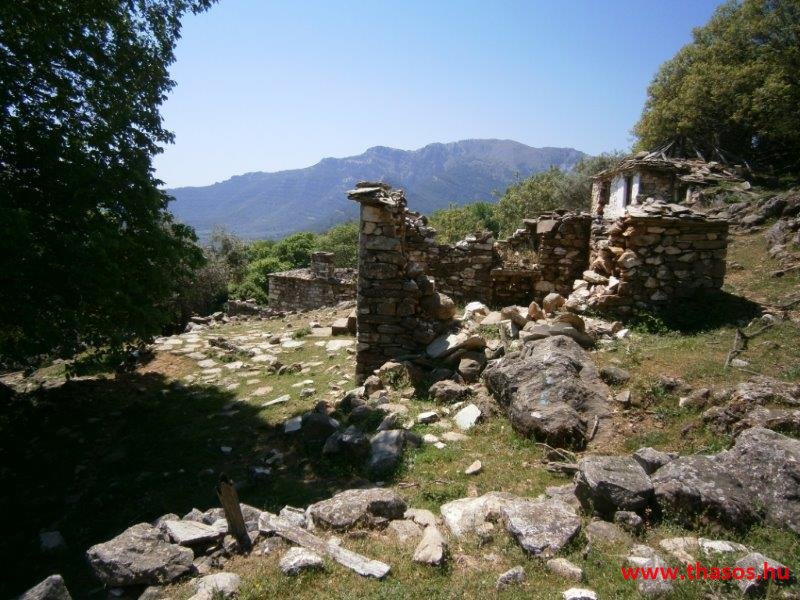 paleohori_osi_falu_25