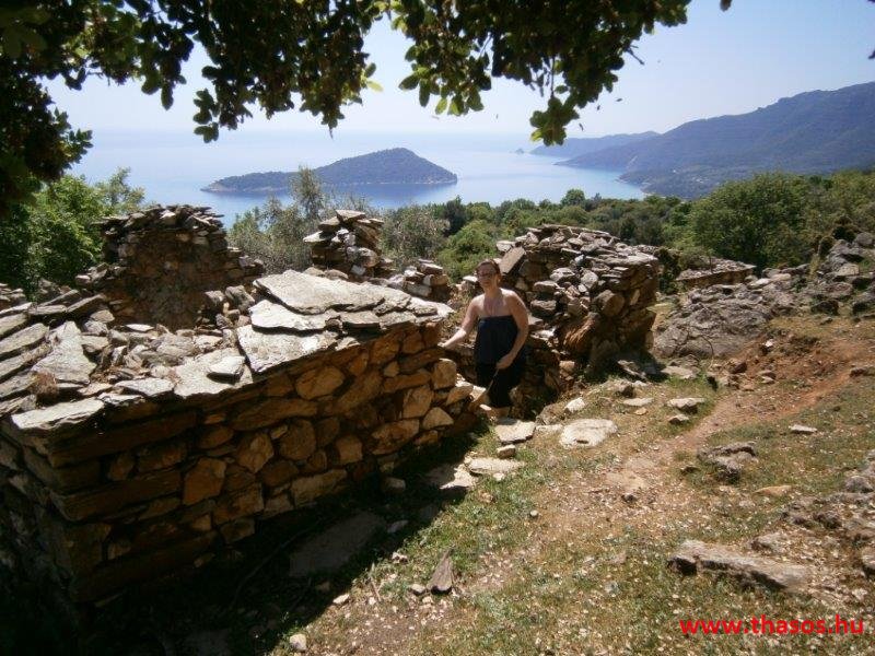 paleohori_osi_falu_27