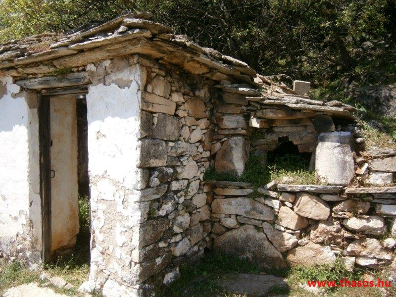 paleohori_osi_falu_30