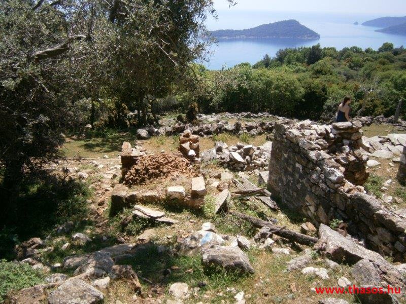 paleohori_osi_falu_32