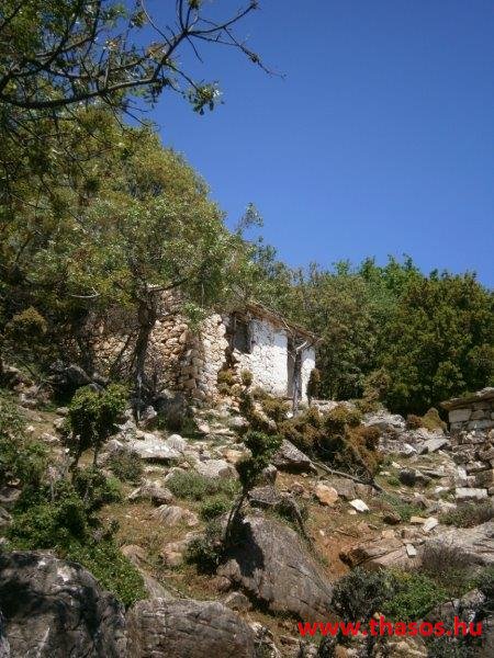 paleohori_osi_falu_36