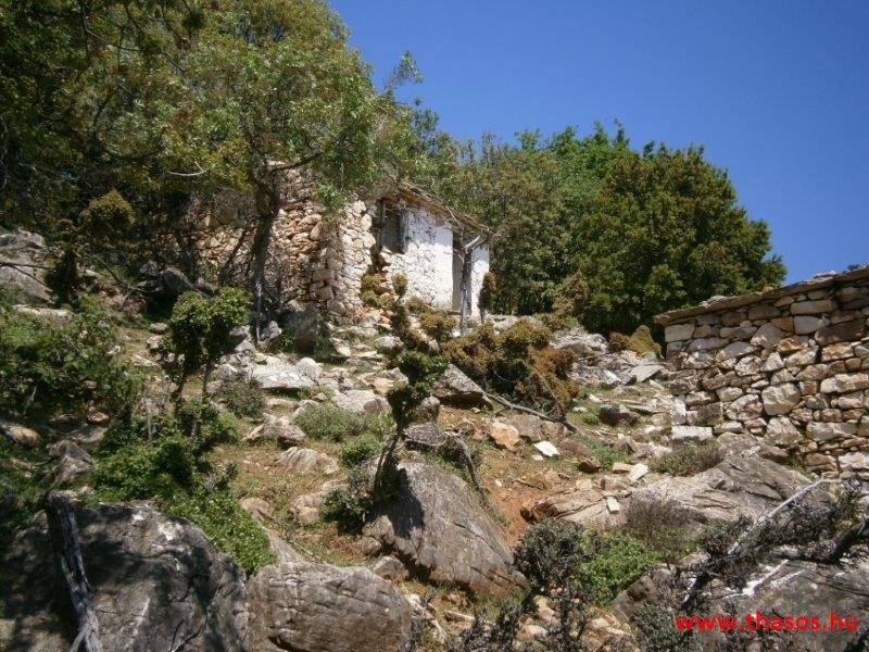 paleohori_osi_falu_37