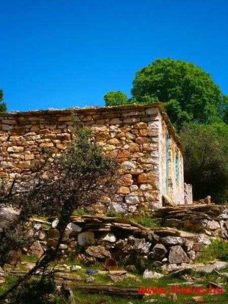 paleohori_osi_falu_38