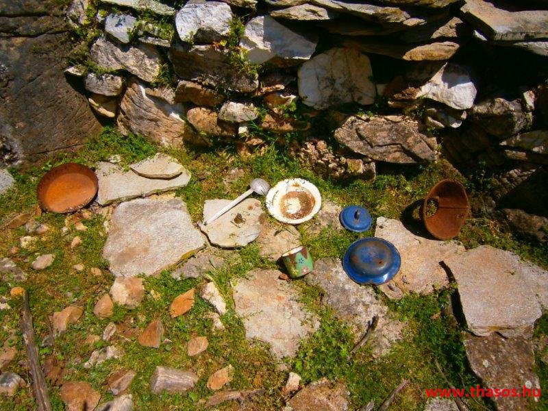 paleohori_osi_falu_41