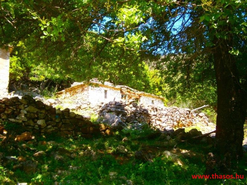 paleohori_osi_falu_42