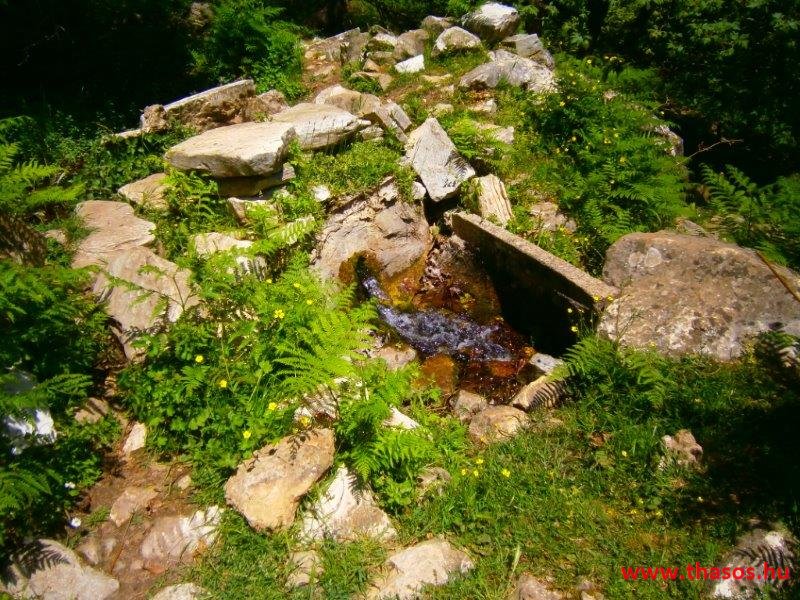 paleohori_osi_falu_43