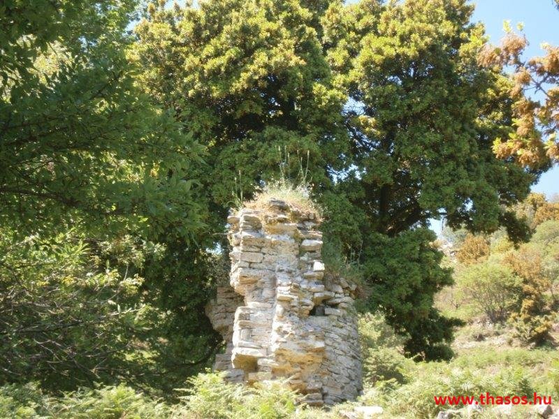 paleohori_osi_falu_54