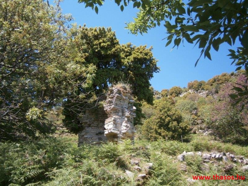 paleohori_osi_falu_55