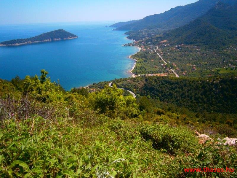 paleohori_osi_falu_60