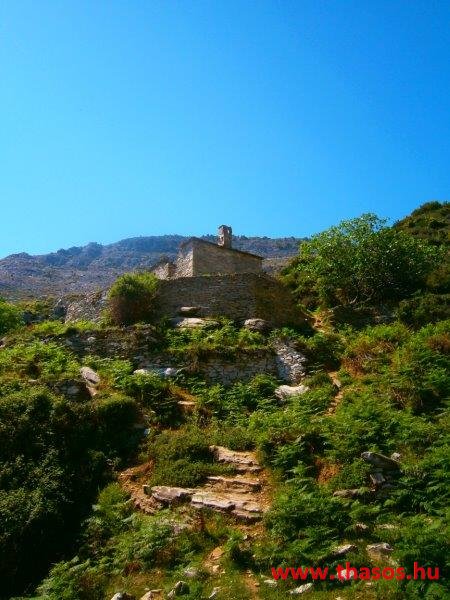 paleohori_osi_falu_64