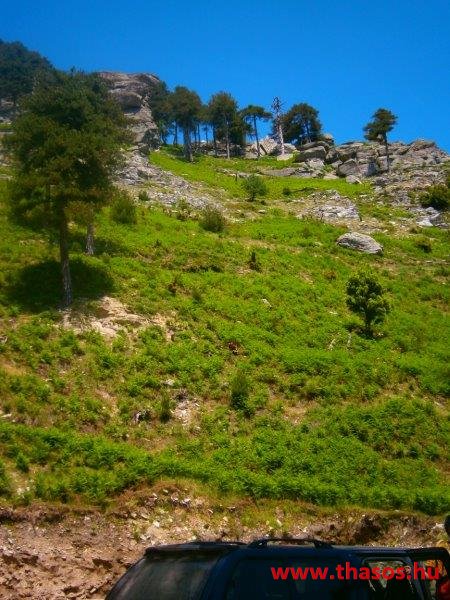 2013_05_06_panagia_hegyikert_10