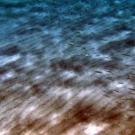 balazsh2009_07