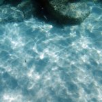 balazsh2009_08