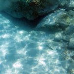 balazsh2009_09