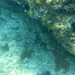 balazsh2009_26