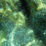balazsh2009_30