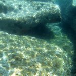 balazsh2009_42