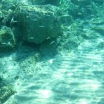 img_0111