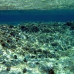img_0154