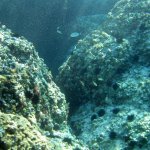 img_0164