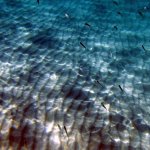 img_0177