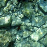 img_0576