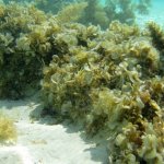 img_0614
