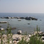 balazsh - 2008 - Aliki