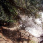 barlangpart_50
