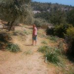 barlangpart_55