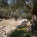 barlangpart_58
