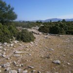 2013_05_06_kastri_03